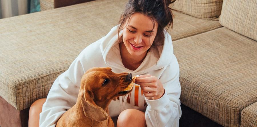 A POSSIBILIDADE PENSÃO ALIMENTÍCIA PARA PETS