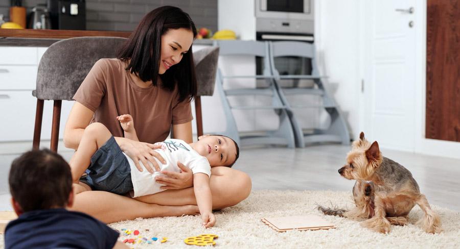 A POSSIBILIDADE PENSÃO ALIMENTÍCIA PARA PETS